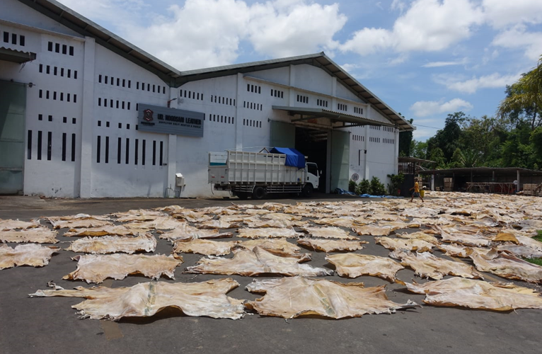 Sustainability dalam Industri Kulit di UD Nogosari Leather, Lumajang